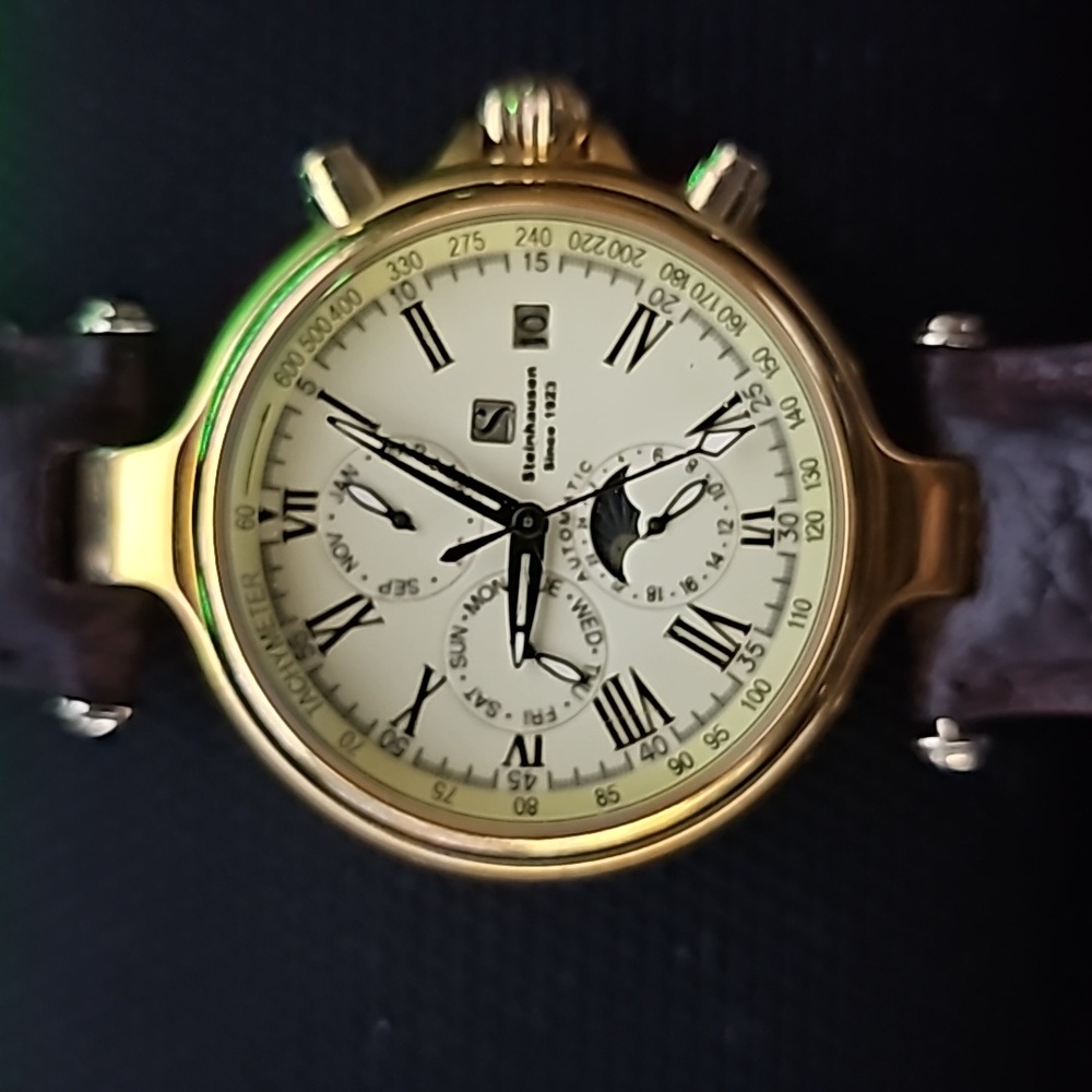 Steinhausen Swiss Automatic Watch w Day-Week-Month indicators and Moon Phase